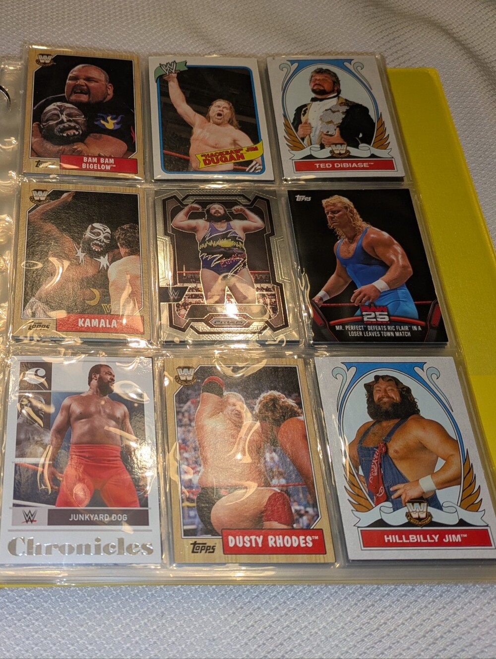 WWE Wrestling Legends Trading Cards Binder Collection 🏆 100 WWE Cards Lot